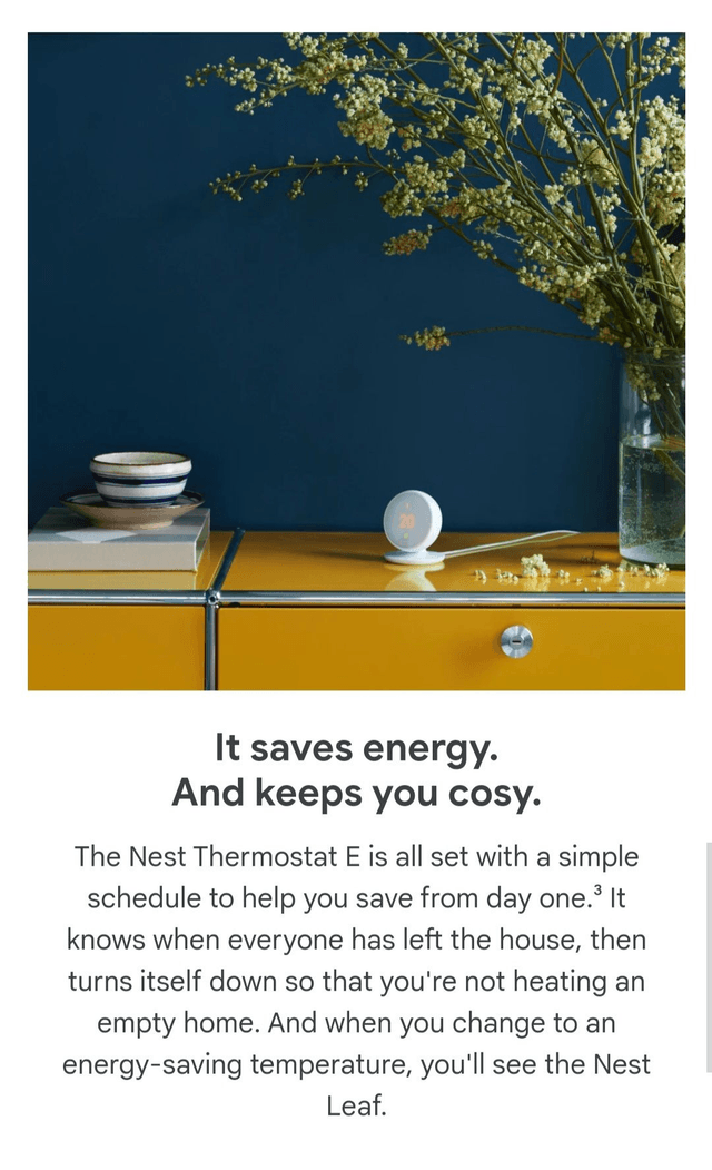 Google Nest Thermostat [E]