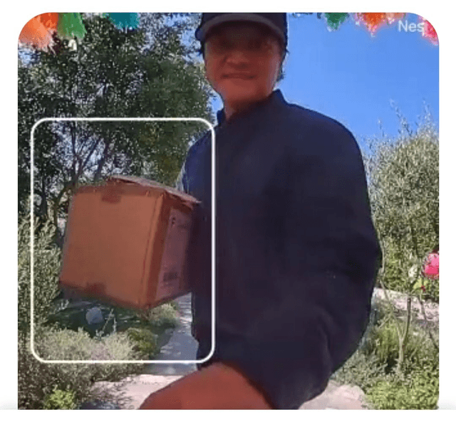 Google Nest Doorbell [battery]