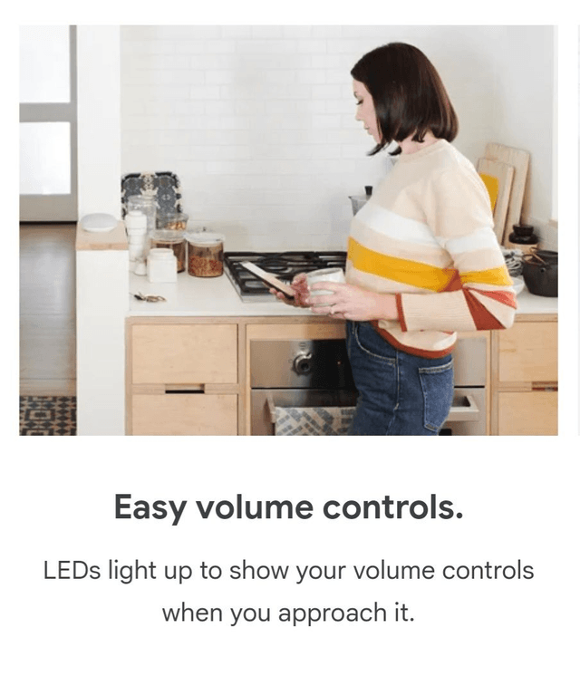 Google Nest Mini [2nd Gen]